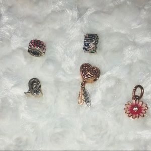 5 pandora Charms